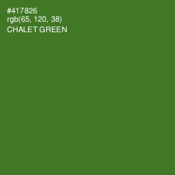#417826 - Chalet Green Color Image