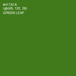 #417A1A - Green Leaf Color Image