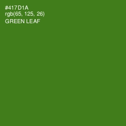 #417D1A - Green Leaf Color Image