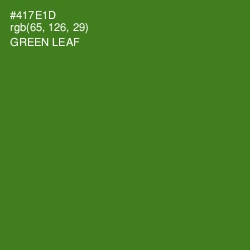 #417E1D - Green Leaf Color Image