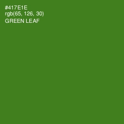 #417E1E - Green Leaf Color Image