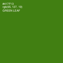 #417F13 - Green Leaf Color Image