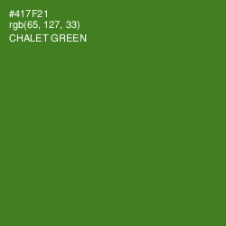 #417F21 - Chalet Green Color Image