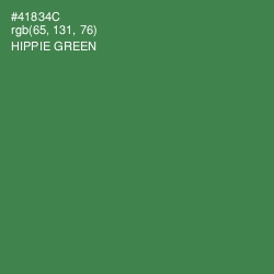 #41834C - Hippie Green Color Image