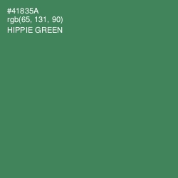 #41835A - Hippie Green Color Image