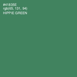 #41835E - Hippie Green Color Image