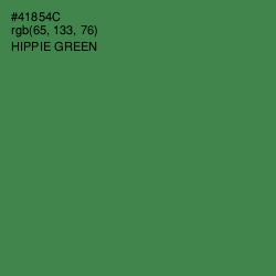 #41854C - Hippie Green Color Image