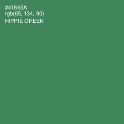 #41865A - Hippie Green Color Image