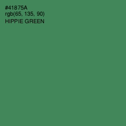 #41875A - Hippie Green Color Image