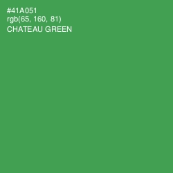 #41A051 - Chateau Green Color Image