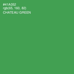 #41A052 - Chateau Green Color Image