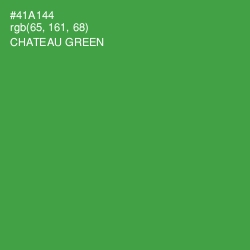 #41A144 - Chateau Green Color Image