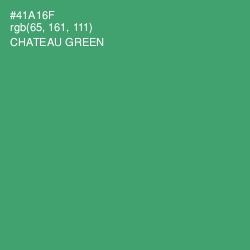 #41A16F - Chateau Green Color Image