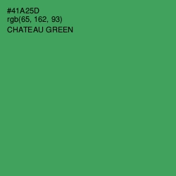 #41A25D - Chateau Green Color Image