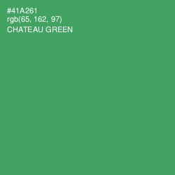 #41A261 - Chateau Green Color Image