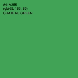 #41A355 - Chateau Green Color Image