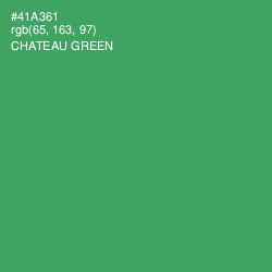 #41A361 - Chateau Green Color Image