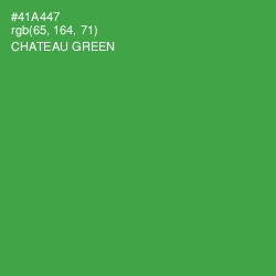 #41A447 - Chateau Green Color Image