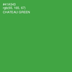 #41A543 - Chateau Green Color Image