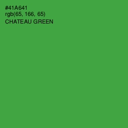 #41A641 - Chateau Green Color Image