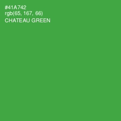 #41A742 - Chateau Green Color Image