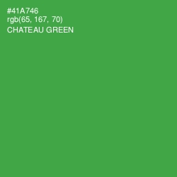 #41A746 - Chateau Green Color Image