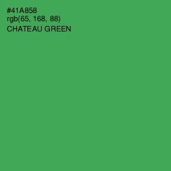 #41A858 - Chateau Green Color Image