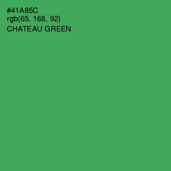 #41A85C - Chateau Green Color Image