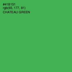 #41B151 - Chateau Green Color Image