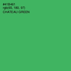 #41B461 - Chateau Green Color Image