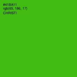 #41BA11 - Christi Color Image