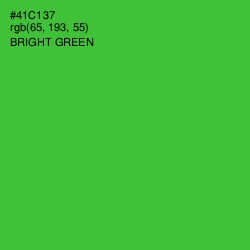 #41C137 - Bright Green Color Image