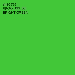 #41C737 - Bright Green Color Image