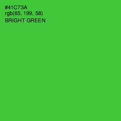 #41C73A - Bright Green Color Image