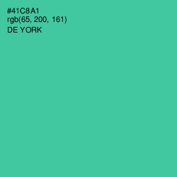 #41C8A1 - De York Color Image