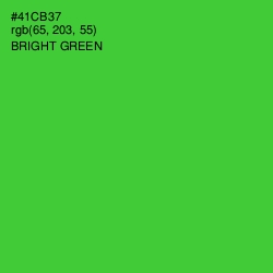 #41CB37 - Bright Green Color Image