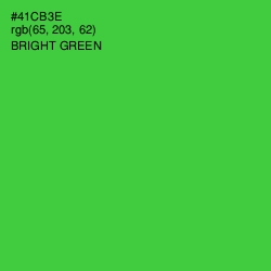 #41CB3E - Bright Green Color Image