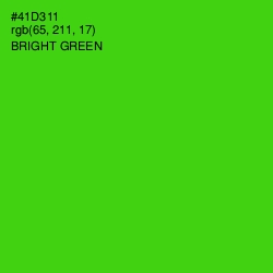#41D311 - Bright Green Color Image