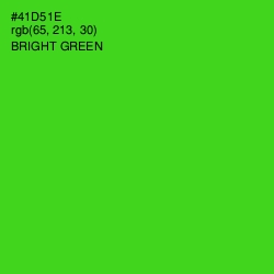 #41D51E - Bright Green Color Image