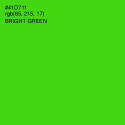 #41D711 - Bright Green Color Image