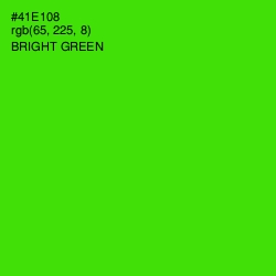 #41E108 - Bright Green Color Image