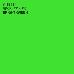 #41E131 - Bright Green Color Image