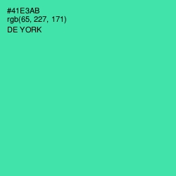 #41E3AB - De York Color Image