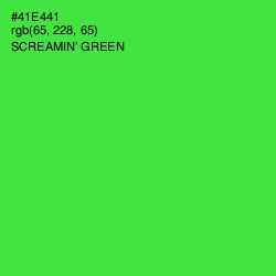 #41E441 - Screamin' Green Color Image