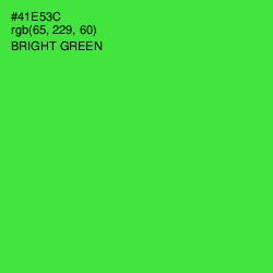 #41E53C - Bright Green Color Image