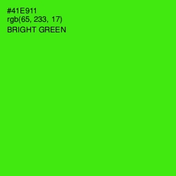 #41E911 - Bright Green Color Image