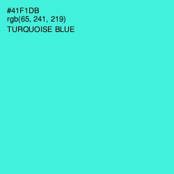 #41F1DB - Turquoise Blue Color Image