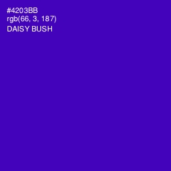 #4203BB - Daisy Bush Color Image