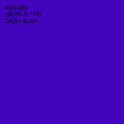 #4203BD - Daisy Bush Color Image