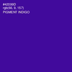 #42099D - Pigment Indigo Color Image